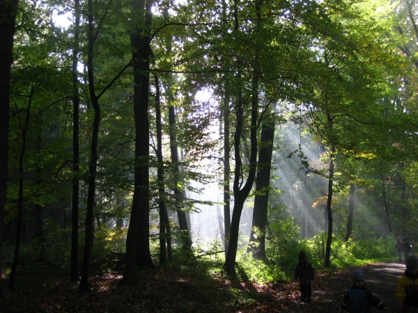 So sieht es bei uns im Waldkindergarten aus!