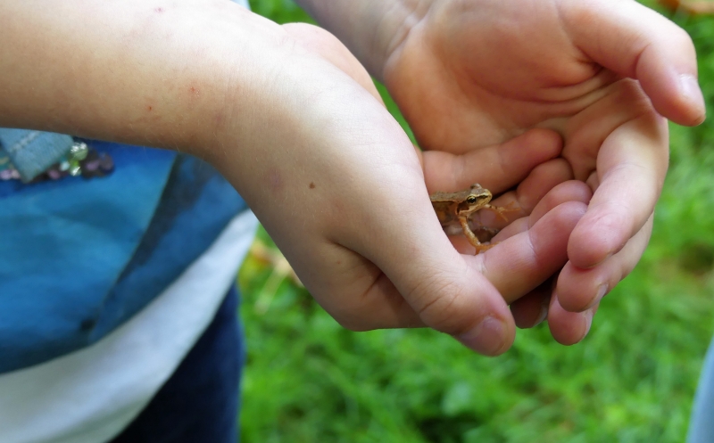 Kinder entdecken die Natur mit (fast) allen Sinnen.
