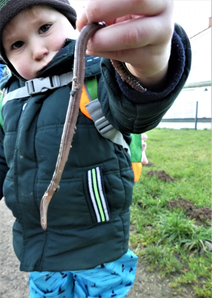 Wow, das macht Spaß Tiere zu entdecken und sie ganzheitlich zu erfahren. 