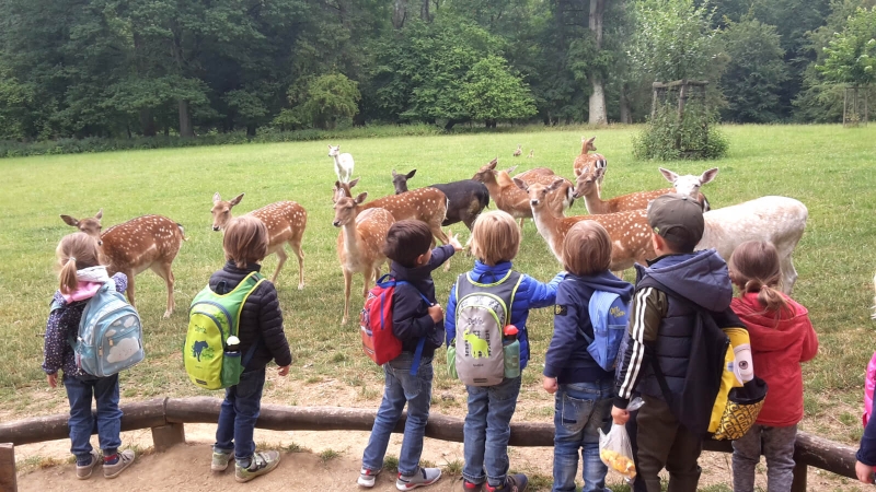 Besuch im Wildpark