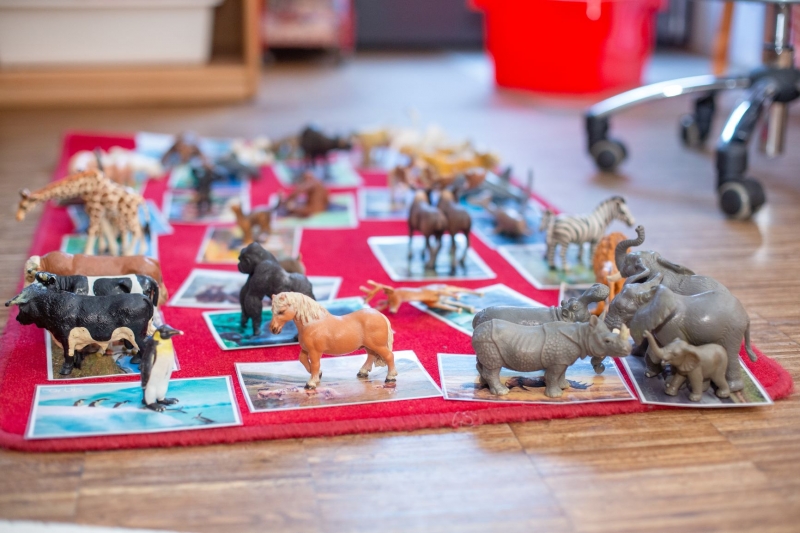  Zuordnungsspiele, wie wir sie in vielfältiger Weise haben, bieten viele Sprach- und Förderanlässe.