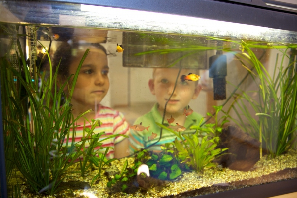 "Was machen heute die Fische?" (Beobachtungen und Ruhe finden)