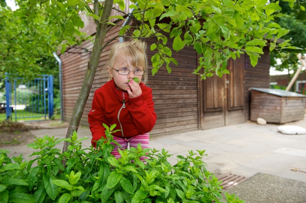 Sinneserfahrungen in unserem Kräutergarten