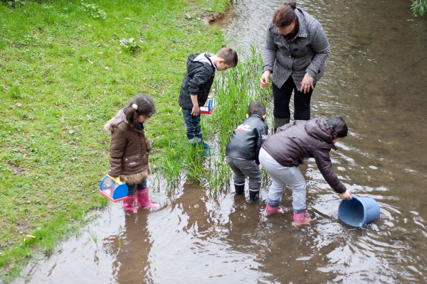 Angst vor nassen Füssen?
In der Düssel forschen wir und finden kleine Fische, Krebse und unterschiedliche Wasserpflanzen.