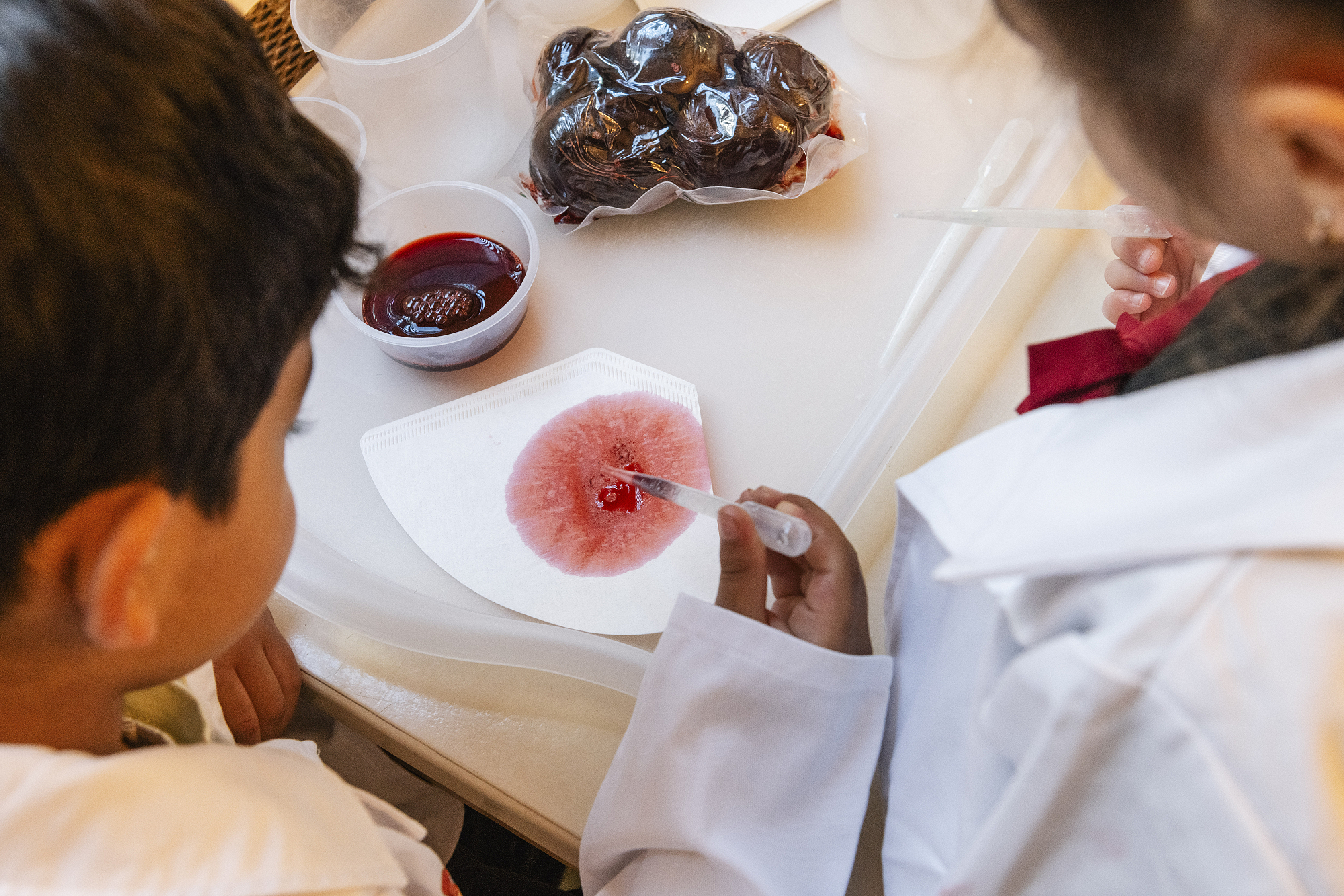 Wir arbeiten mit der Stiftung "Kinder forschen" zusammen. Gemeinsam mit Ihrem Kind entdecken wir die Welt der Wissenschaften, hier zum Beispiel der Chemie.