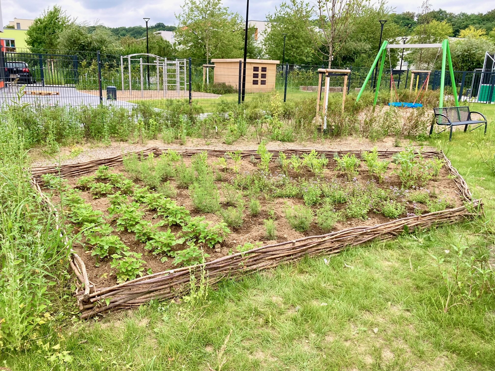 Unser Kräutergarten zum Riechen, Schmecken und Ernten.